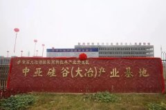 驰援湖北，中亚集团向湖北大冶政府捐赠防疫物